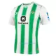 Real Betis Virallinen Kotipelipaita Miehet 2023/24