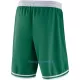 Boston Celtics NBA Shortsit Miehet Icon Edition Swingman