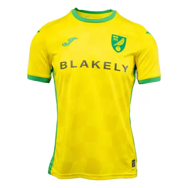 Norwich City Virallinen Kotipelipaita Miehet 2024/25